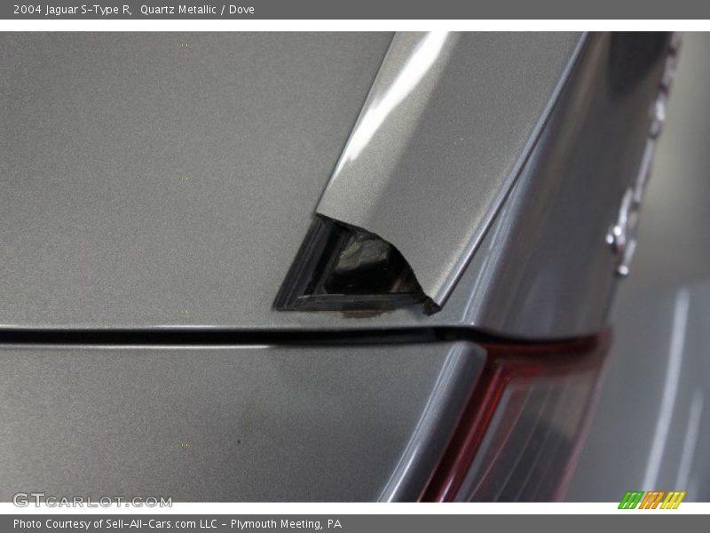 Quartz Metallic / Dove 2004 Jaguar S-Type R