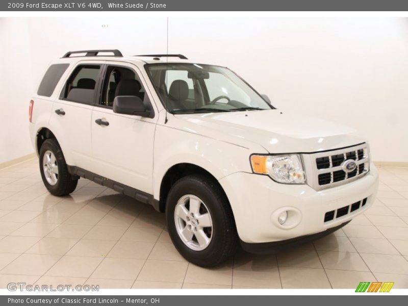 White Suede / Stone 2009 Ford Escape XLT V6 4WD