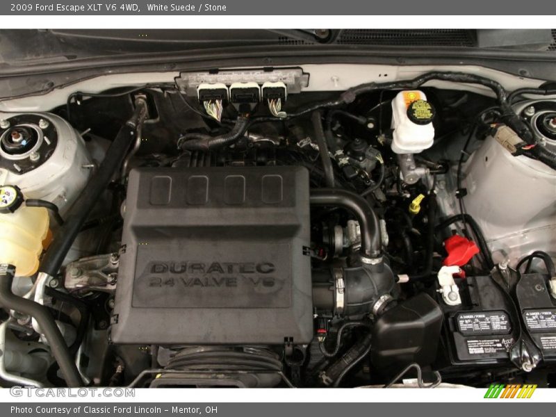 White Suede / Stone 2009 Ford Escape XLT V6 4WD