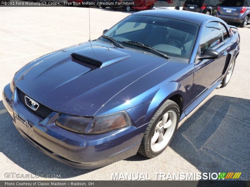 True Blue Metallic / Medium Parchment 2001 Ford Mustang GT Coupe
