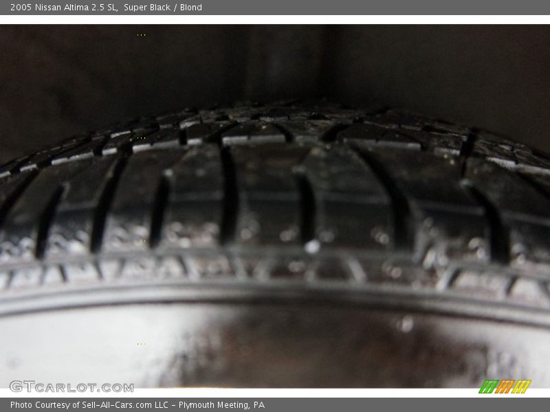 Super Black / Blond 2005 Nissan Altima 2.5 SL