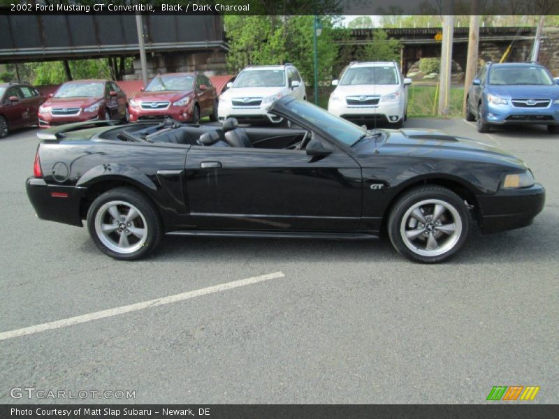 Black / Dark Charcoal 2002 Ford Mustang GT Convertible