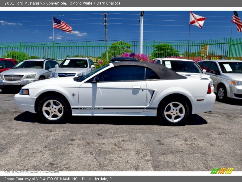 Oxford White / Dark Charcoal 2001 Ford Mustang V6 Convertible