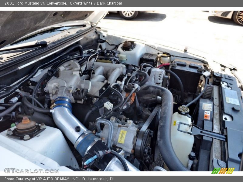 Oxford White / Dark Charcoal 2001 Ford Mustang V6 Convertible