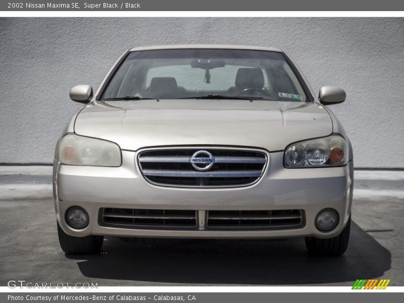 Super Black / Black 2002 Nissan Maxima SE