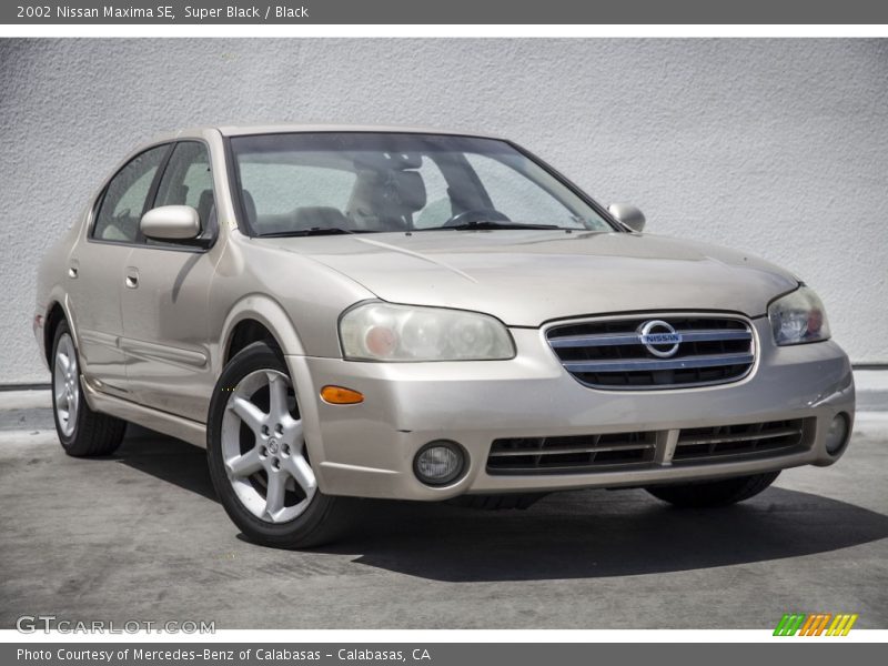 Super Black / Black 2002 Nissan Maxima SE