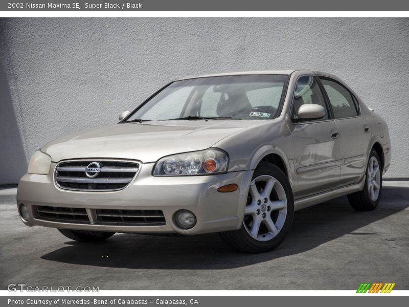 Super Black / Black 2002 Nissan Maxima SE