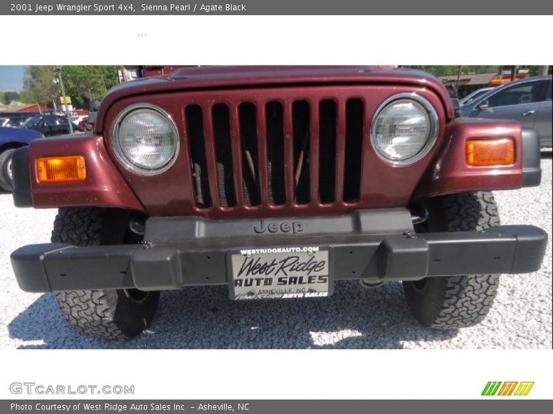 Sienna Pearl / Agate Black 2001 Jeep Wrangler Sport 4x4