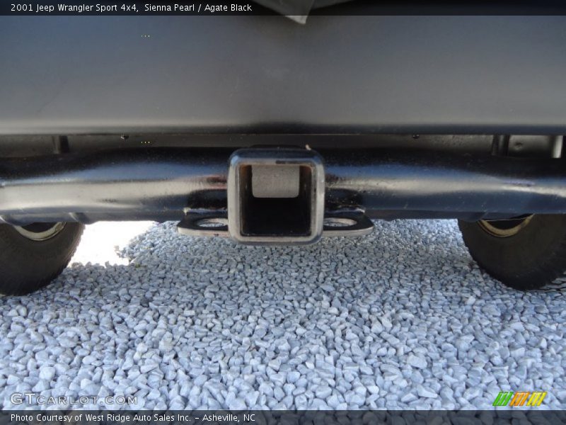 Sienna Pearl / Agate Black 2001 Jeep Wrangler Sport 4x4