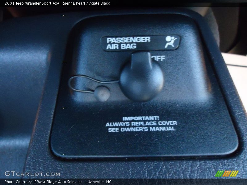 Sienna Pearl / Agate Black 2001 Jeep Wrangler Sport 4x4