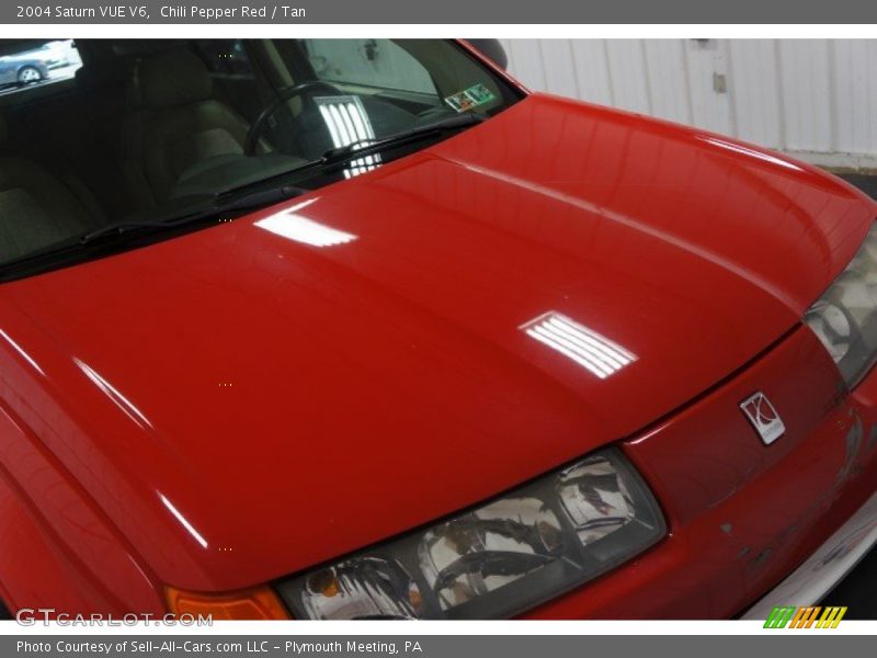 Chili Pepper Red / Tan 2004 Saturn VUE V6