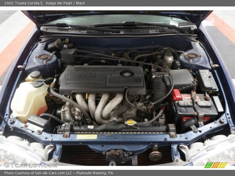 Indigo Ink Pearl / Black 2002 Toyota Corolla S