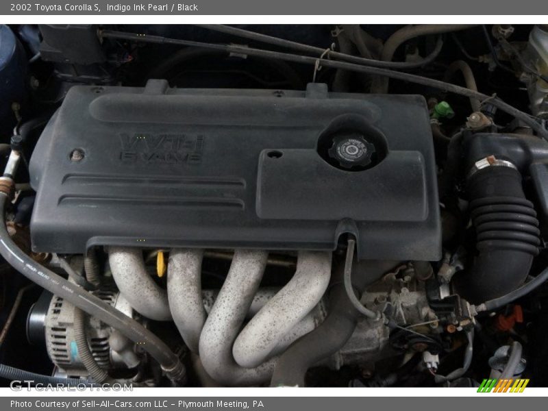 Indigo Ink Pearl / Black 2002 Toyota Corolla S