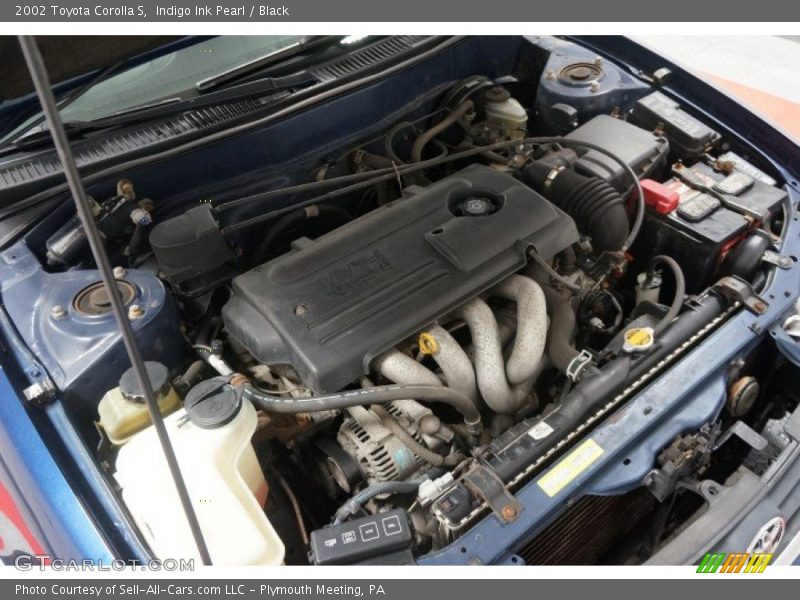 Indigo Ink Pearl / Black 2002 Toyota Corolla S