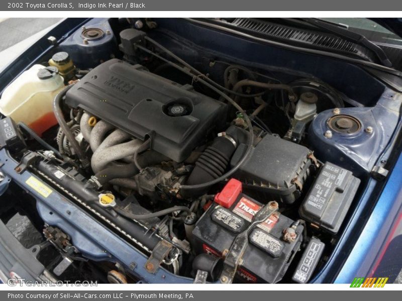 Indigo Ink Pearl / Black 2002 Toyota Corolla S