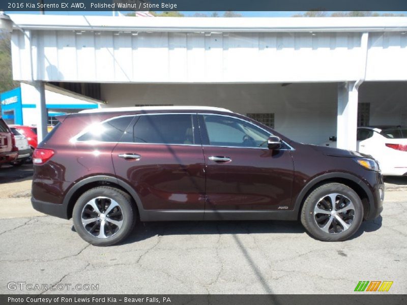 2016 Sorento EX AWD Polished Walnut