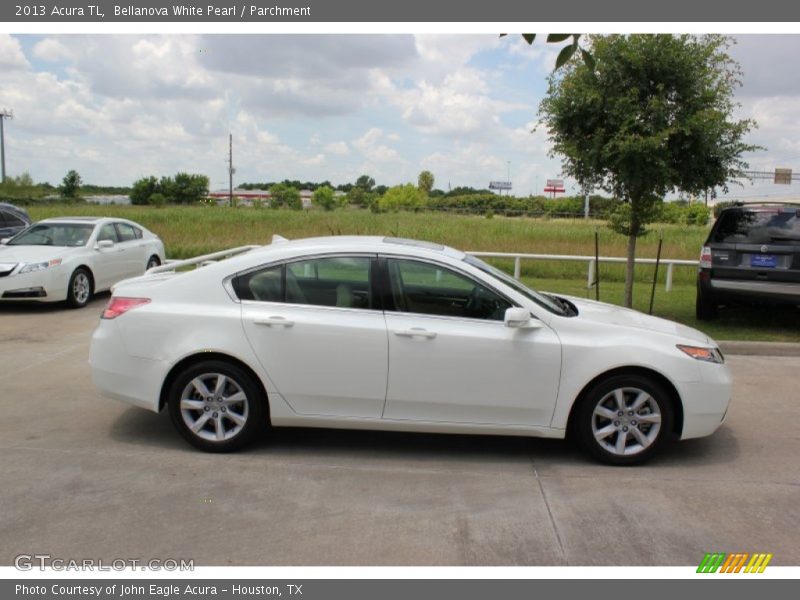 Bellanova White Pearl / Parchment 2013 Acura TL