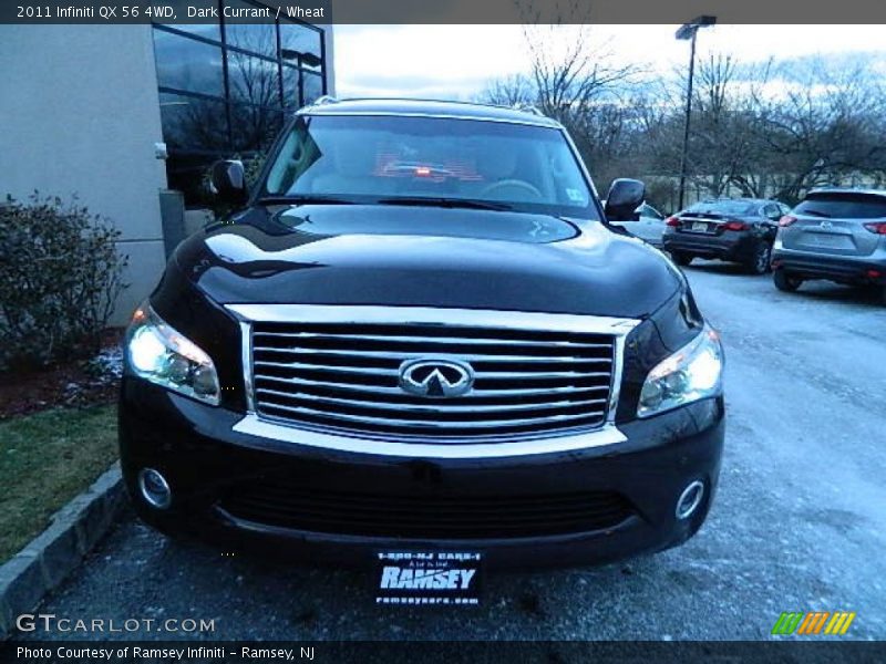 Dark Currant / Wheat 2011 Infiniti QX 56 4WD