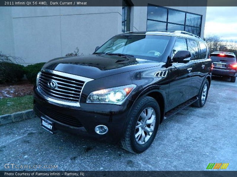 Dark Currant / Wheat 2011 Infiniti QX 56 4WD