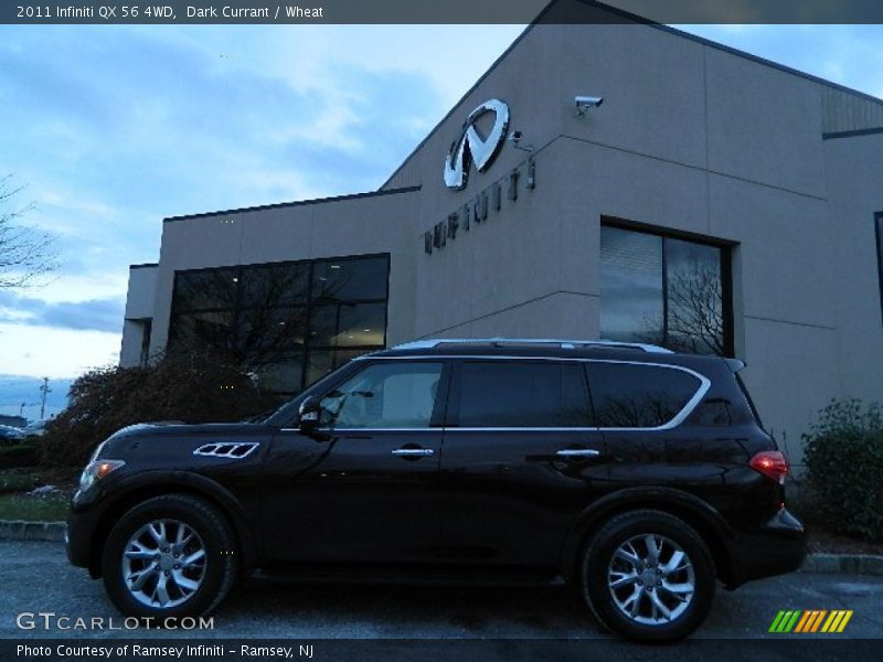 Dark Currant / Wheat 2011 Infiniti QX 56 4WD