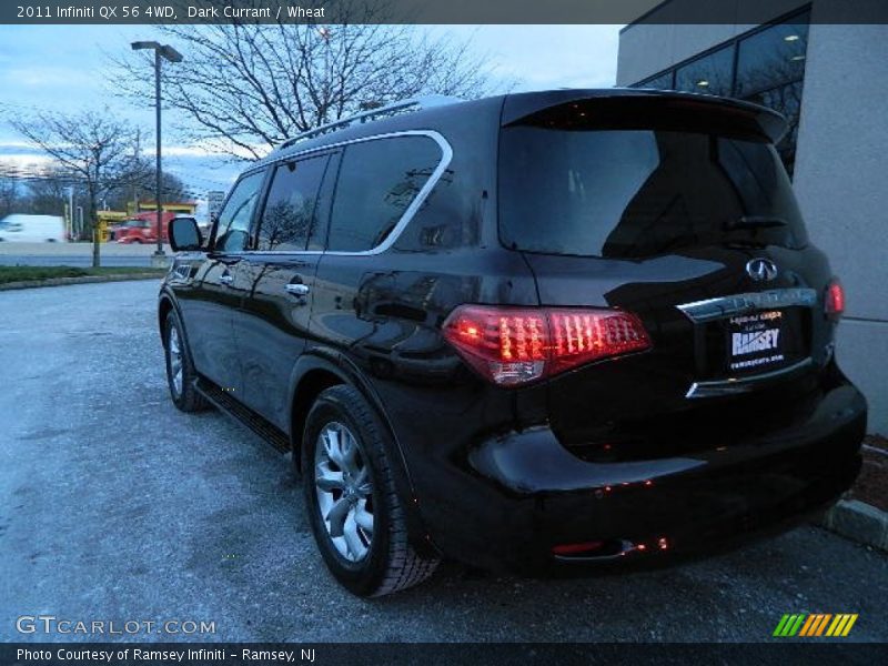 Dark Currant / Wheat 2011 Infiniti QX 56 4WD