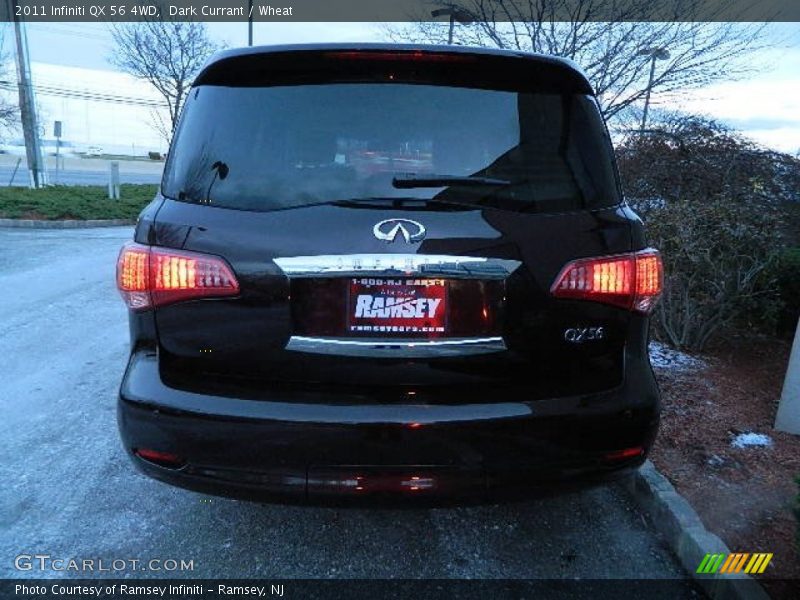 Dark Currant / Wheat 2011 Infiniti QX 56 4WD