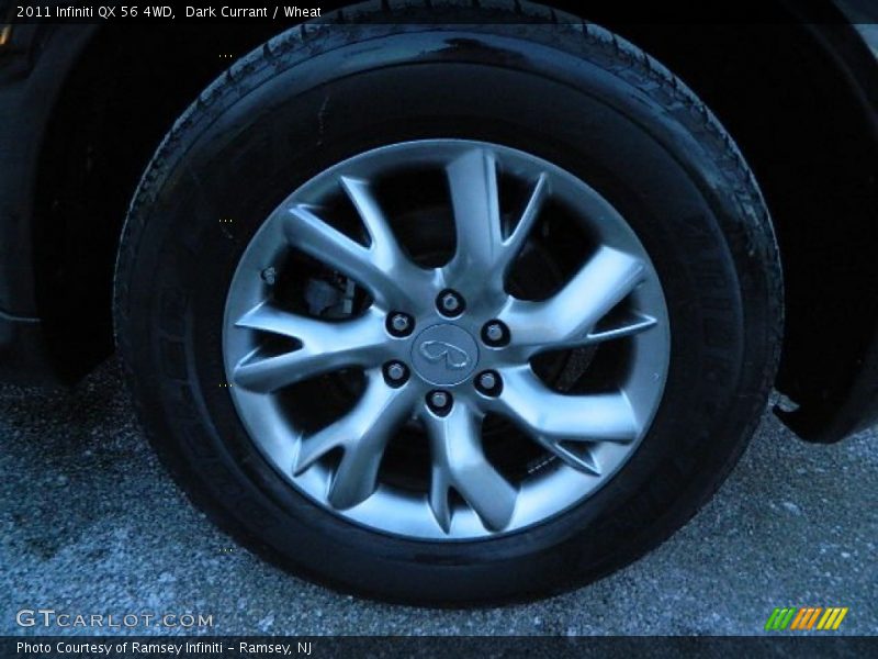 Dark Currant / Wheat 2011 Infiniti QX 56 4WD