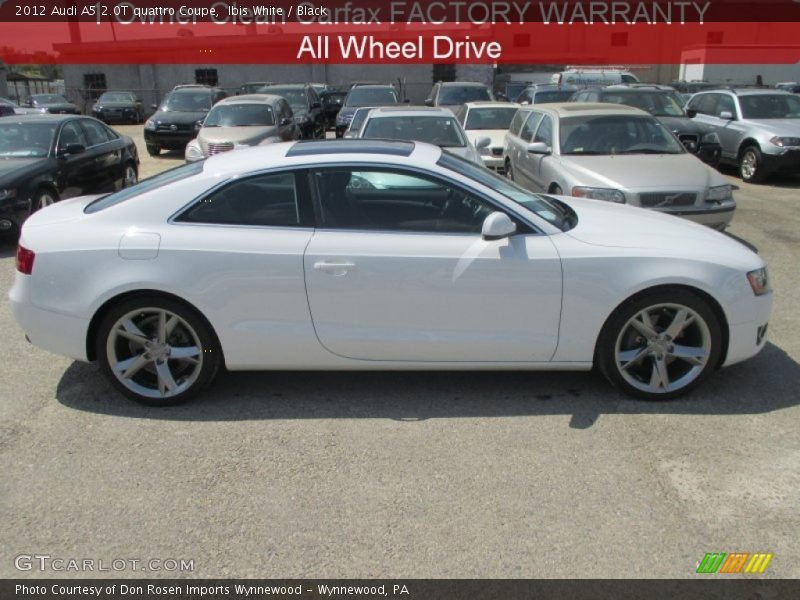 Ibis White / Black 2012 Audi A5 2.0T quattro Coupe