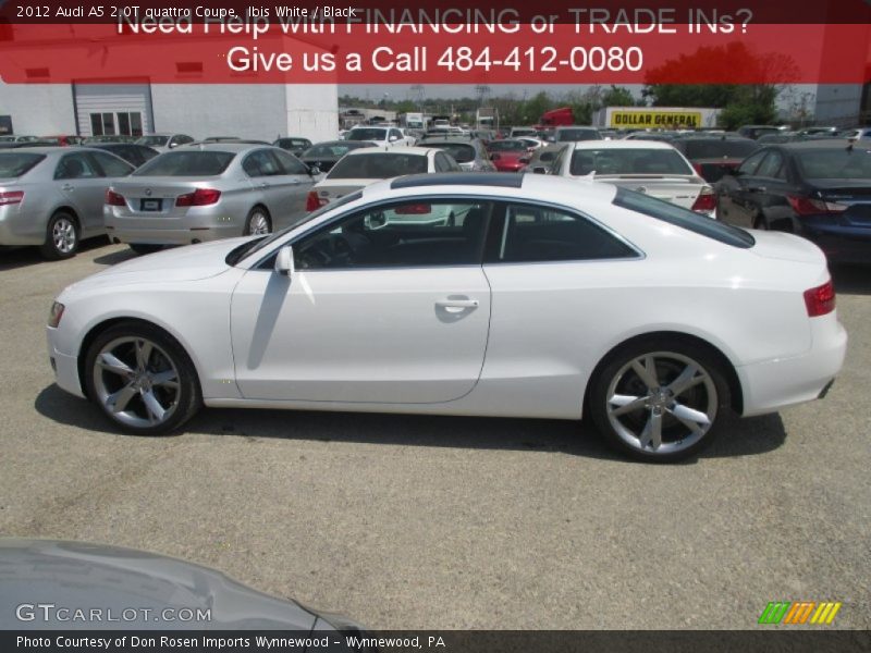 Ibis White / Black 2012 Audi A5 2.0T quattro Coupe
