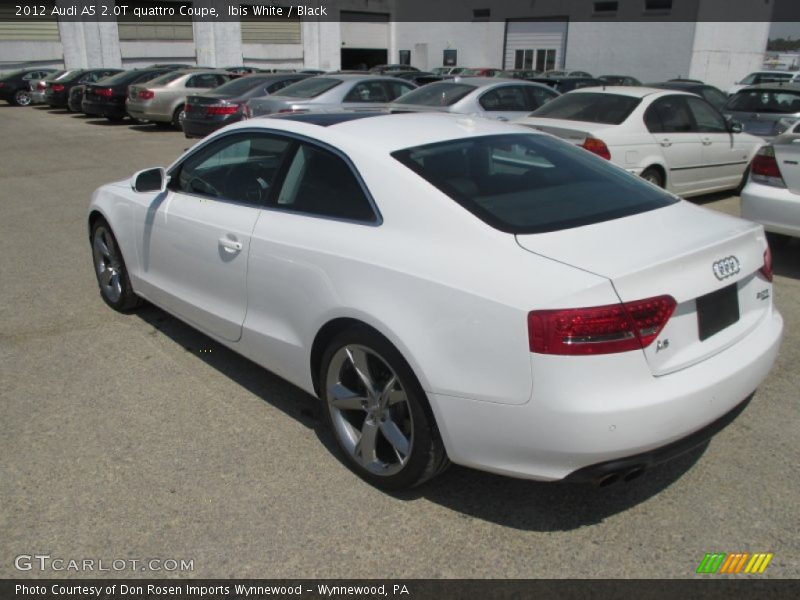 Ibis White / Black 2012 Audi A5 2.0T quattro Coupe