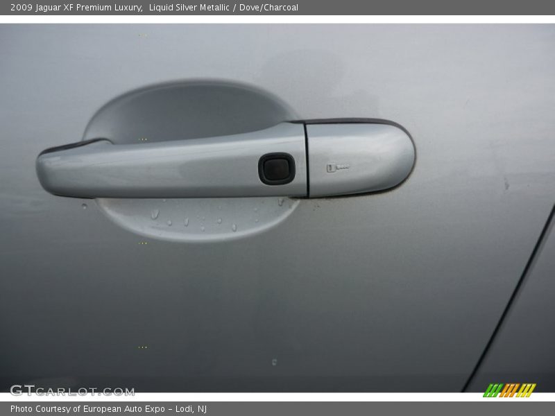 Liquid Silver Metallic / Dove/Charcoal 2009 Jaguar XF Premium Luxury