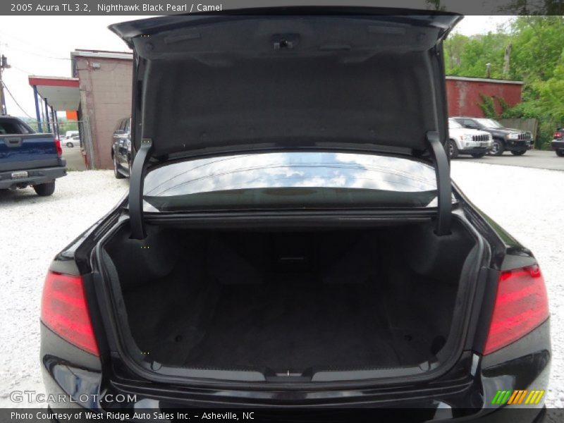 Nighthawk Black Pearl / Camel 2005 Acura TL 3.2