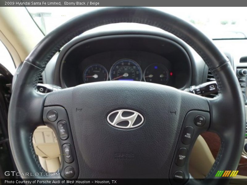 Ebony Black / Beige 2009 Hyundai Santa Fe Limited
