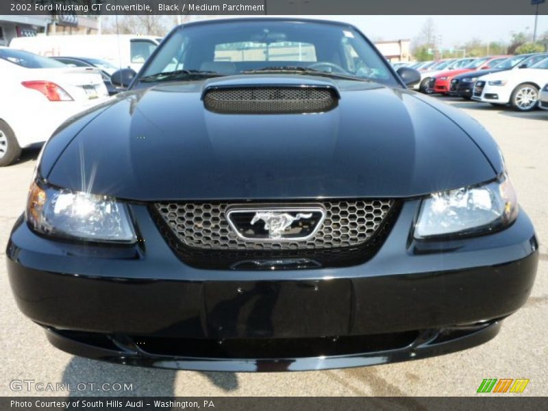 Black / Medium Parchment 2002 Ford Mustang GT Convertible