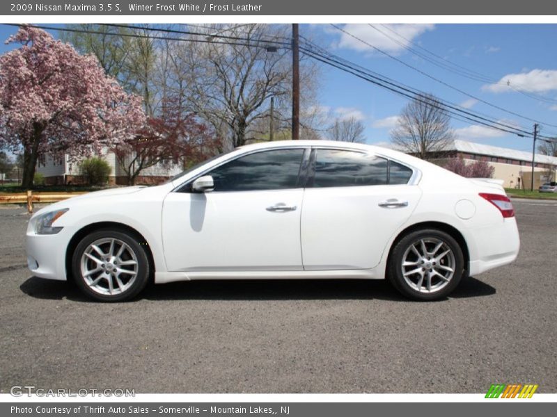 Winter Frost White / Frost Leather 2009 Nissan Maxima 3.5 S
