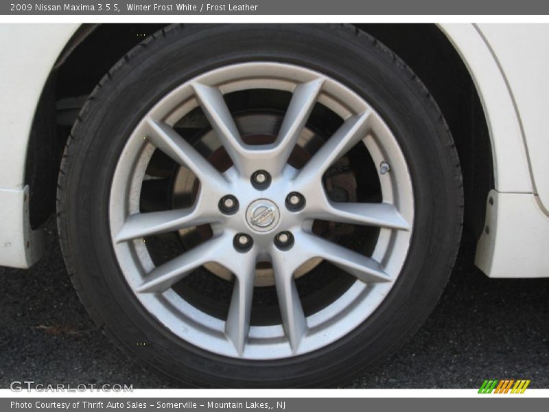 Winter Frost White / Frost Leather 2009 Nissan Maxima 3.5 S