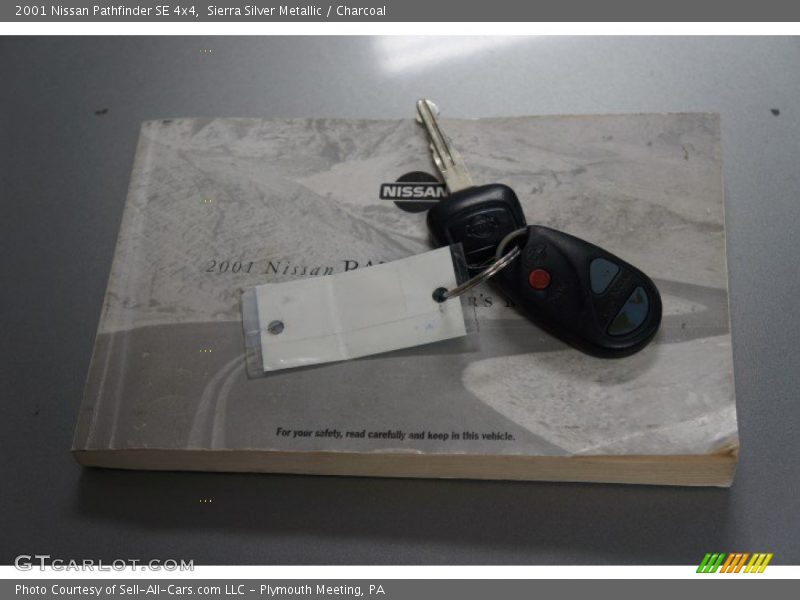 Sierra Silver Metallic / Charcoal 2001 Nissan Pathfinder SE 4x4