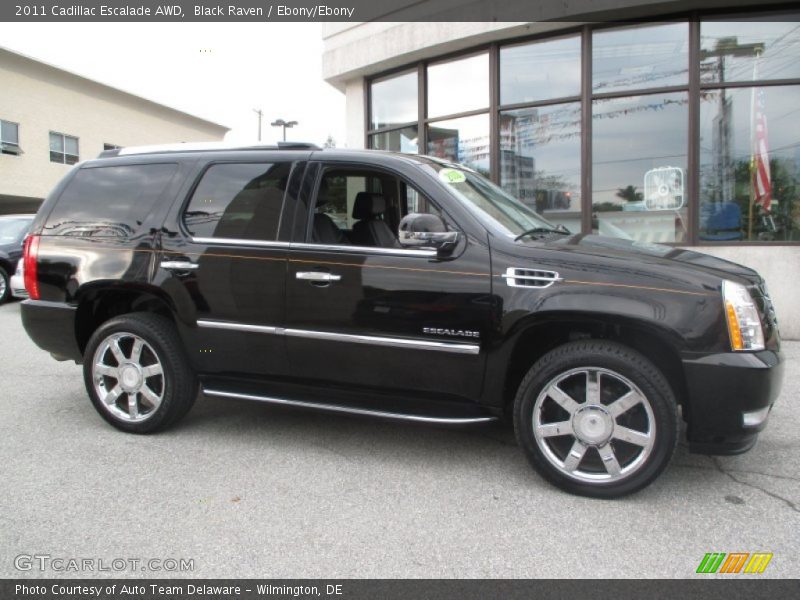 Black Raven / Ebony/Ebony 2011 Cadillac Escalade AWD