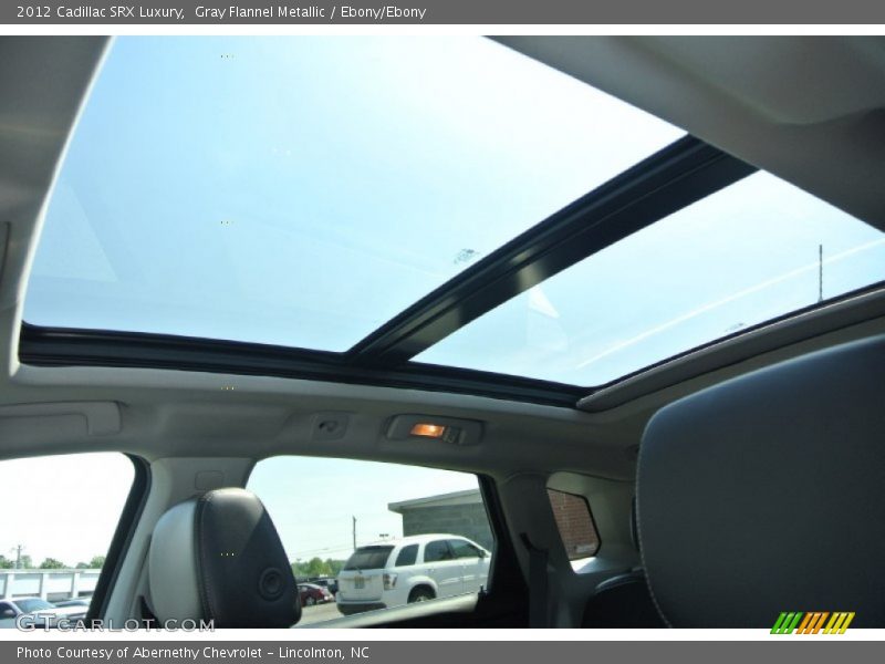 Gray Flannel Metallic / Ebony/Ebony 2012 Cadillac SRX Luxury