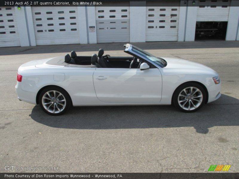 Ibis White / Black 2013 Audi A5 2.0T quattro Cabriolet