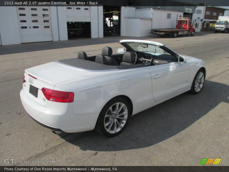 Ibis White / Black 2013 Audi A5 2.0T quattro Cabriolet