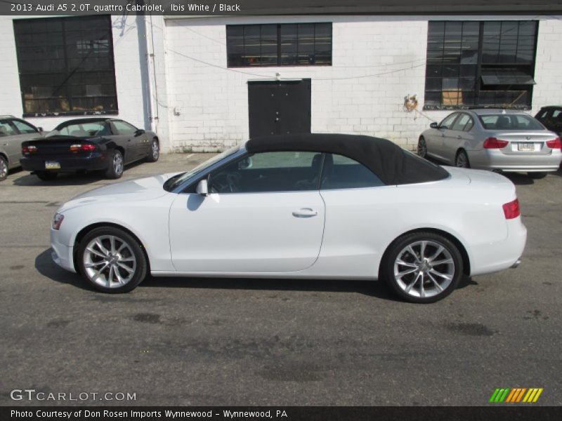 Ibis White / Black 2013 Audi A5 2.0T quattro Cabriolet