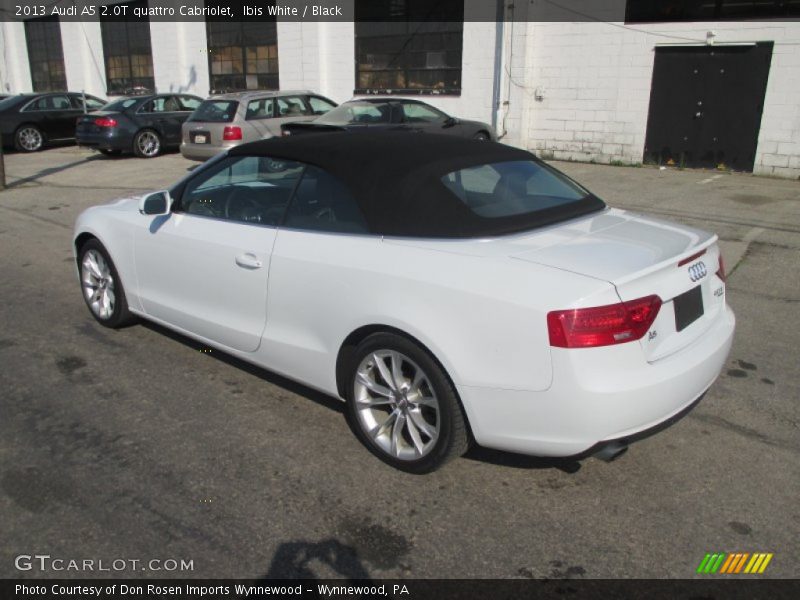 Ibis White / Black 2013 Audi A5 2.0T quattro Cabriolet