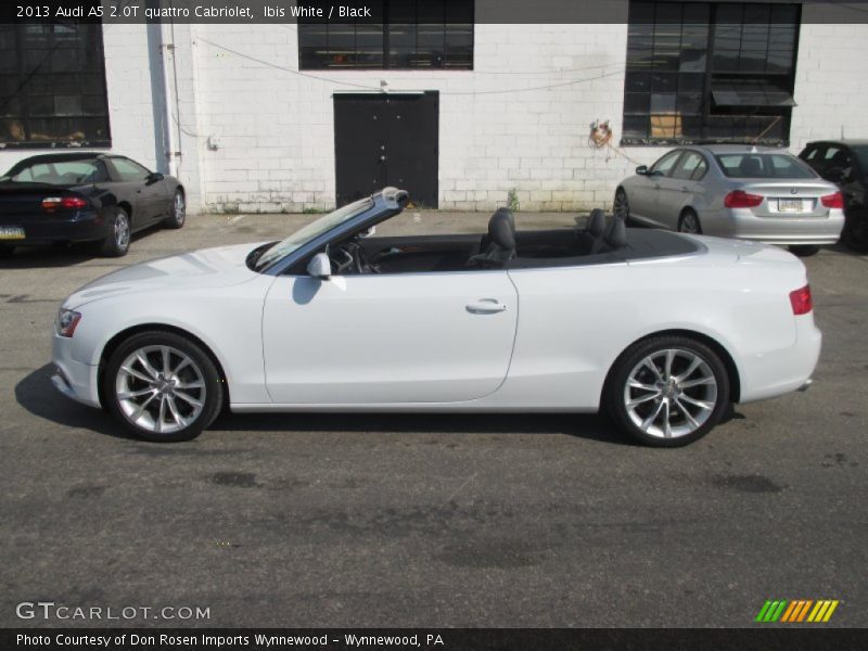 Ibis White / Black 2013 Audi A5 2.0T quattro Cabriolet