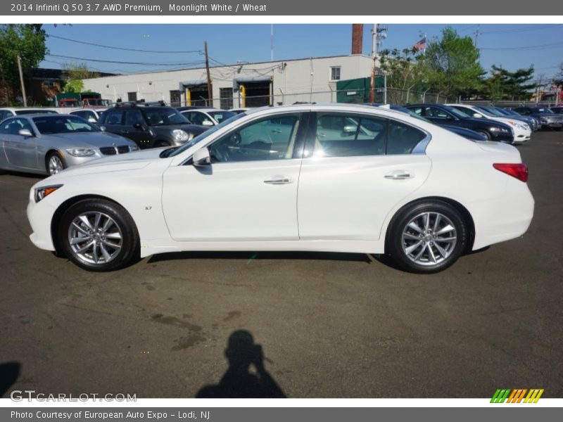 Moonlight White / Wheat 2014 Infiniti Q 50 3.7 AWD Premium