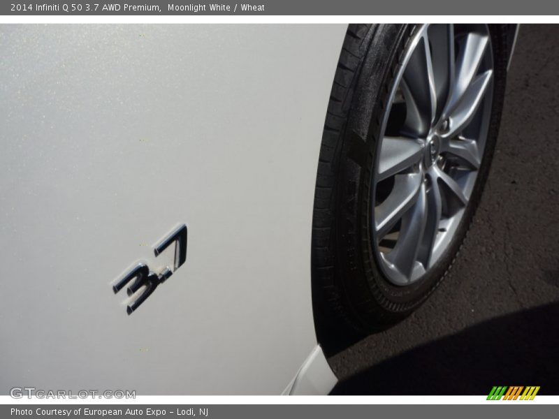 Moonlight White / Wheat 2014 Infiniti Q 50 3.7 AWD Premium