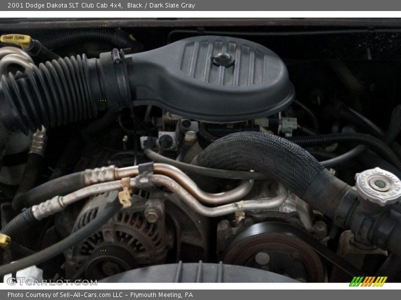 Black / Dark Slate Gray 2001 Dodge Dakota SLT Club Cab 4x4