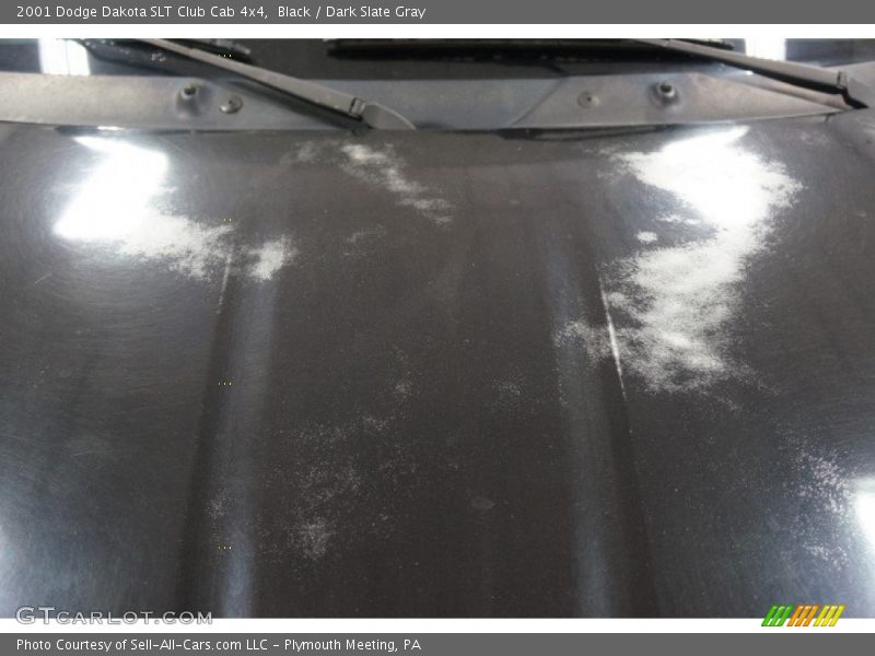 Black / Dark Slate Gray 2001 Dodge Dakota SLT Club Cab 4x4