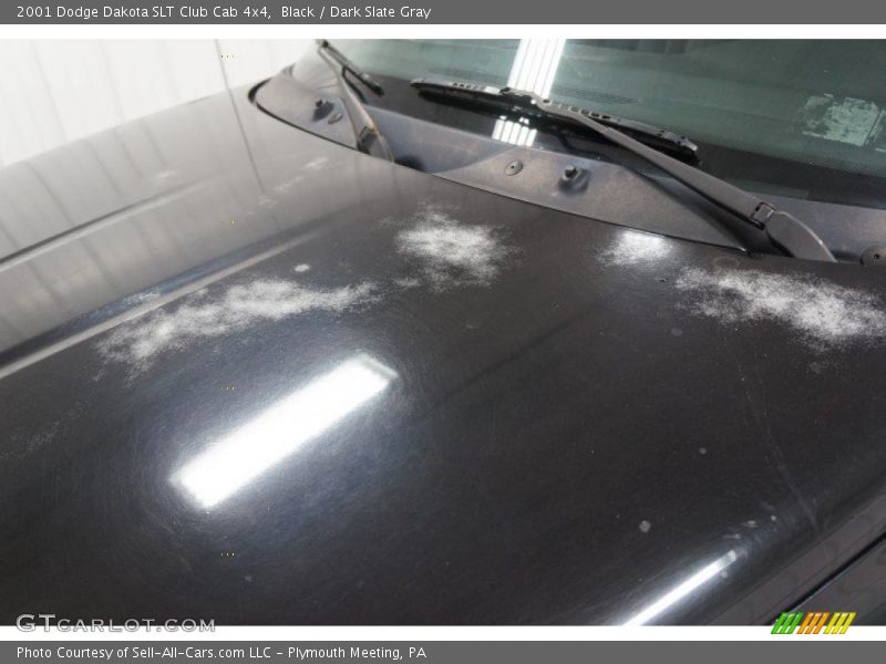 Black / Dark Slate Gray 2001 Dodge Dakota SLT Club Cab 4x4