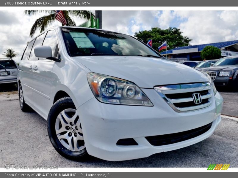 Taffeta White / Ivory 2005 Honda Odyssey EX-L